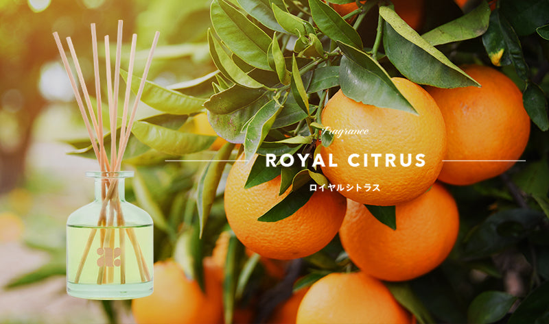 【ロイヤルシトラス】の香り、松屋銀座にて先行販売!