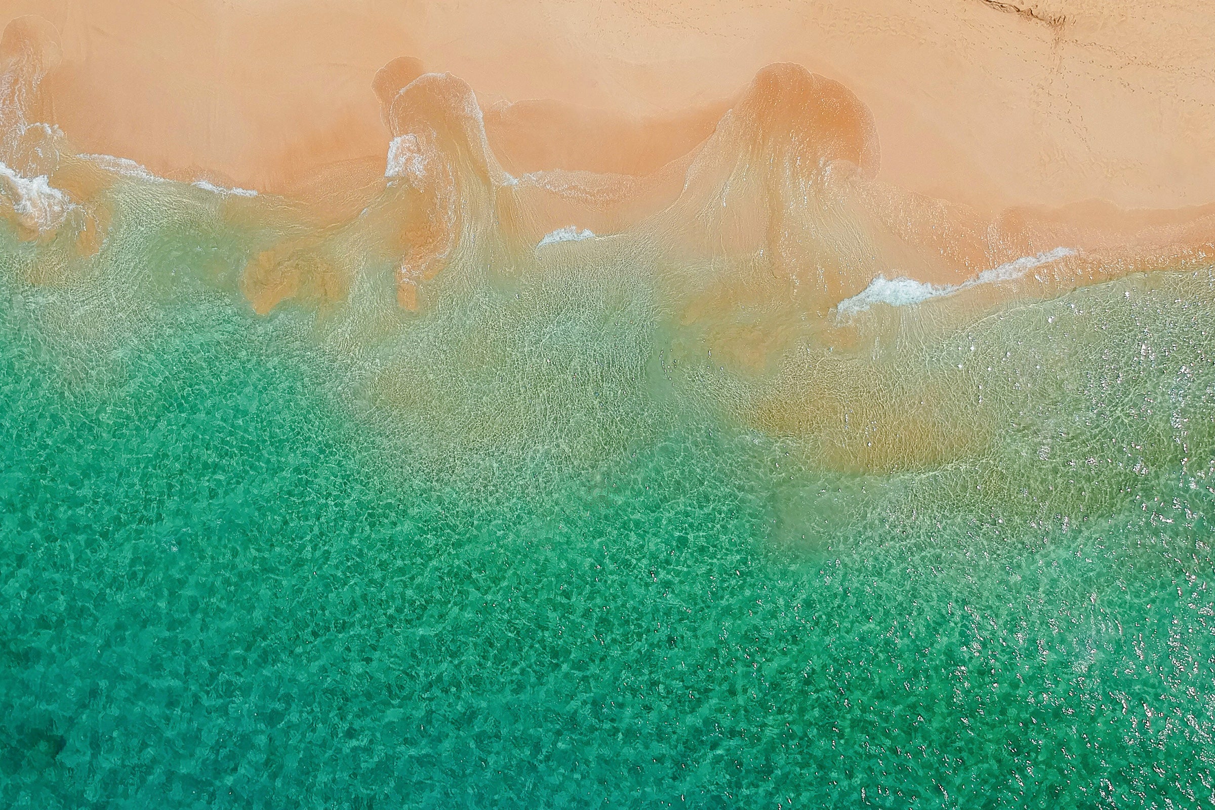 Aromas with Aloha 日本公式サイト